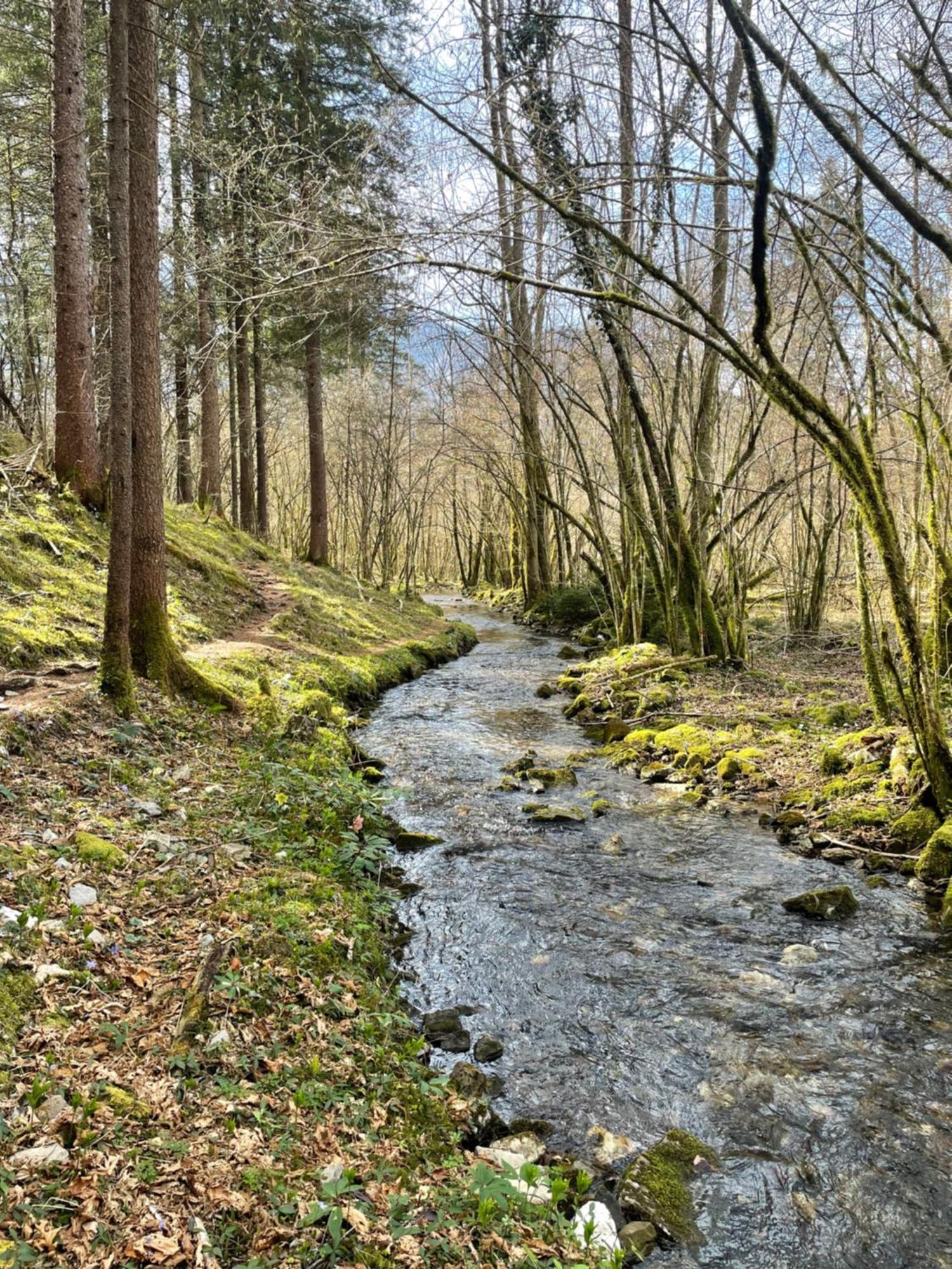Ortighera Monolocale Relax Sulla Ciclabile Lenna ภายนอก รูปภาพ